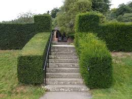 hedge-cutting-technique