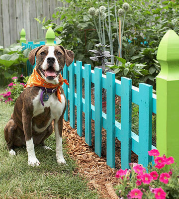 pets-fenced in garden