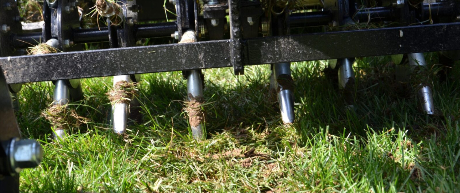 Aerate your Lawn during Winter