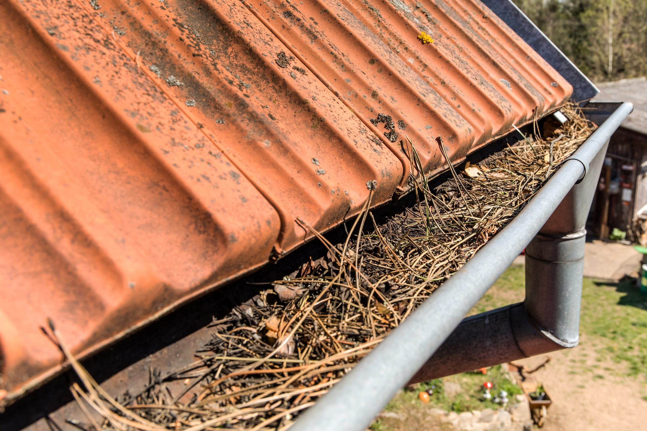 Simple Gutter Cleaning Tips and Techniques