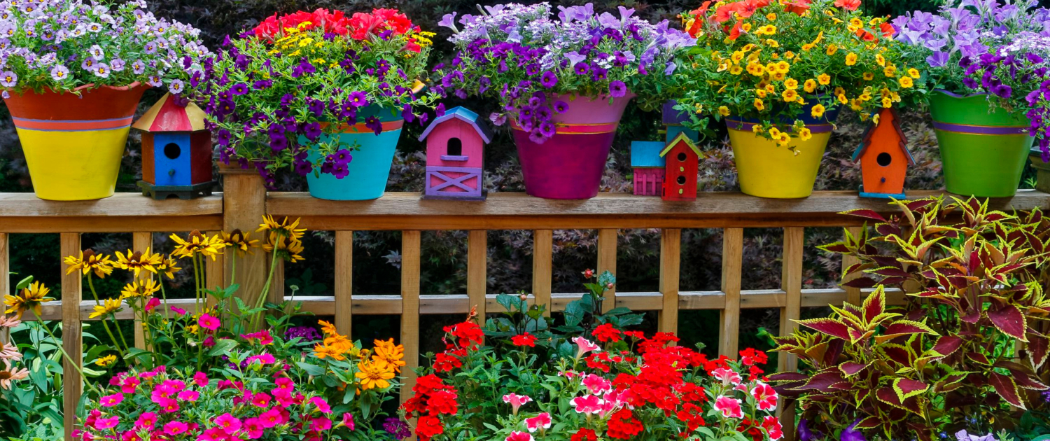 Bright Paint for your Landscape