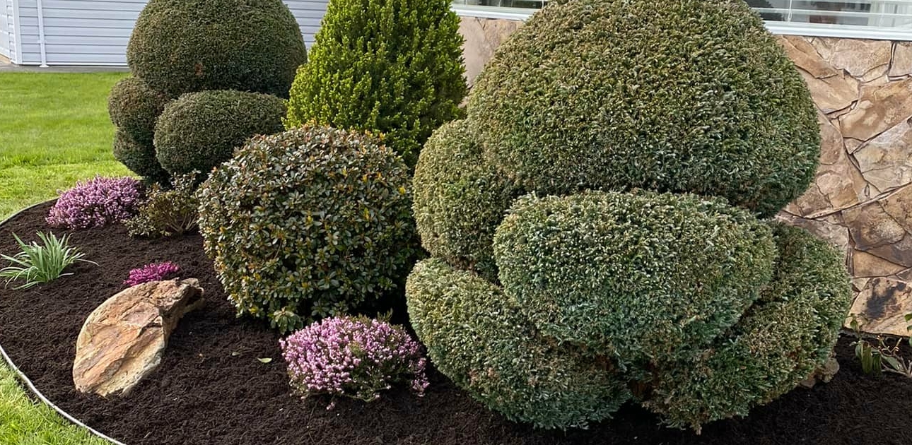 5 Tips Every Good Gardener Needs to Know