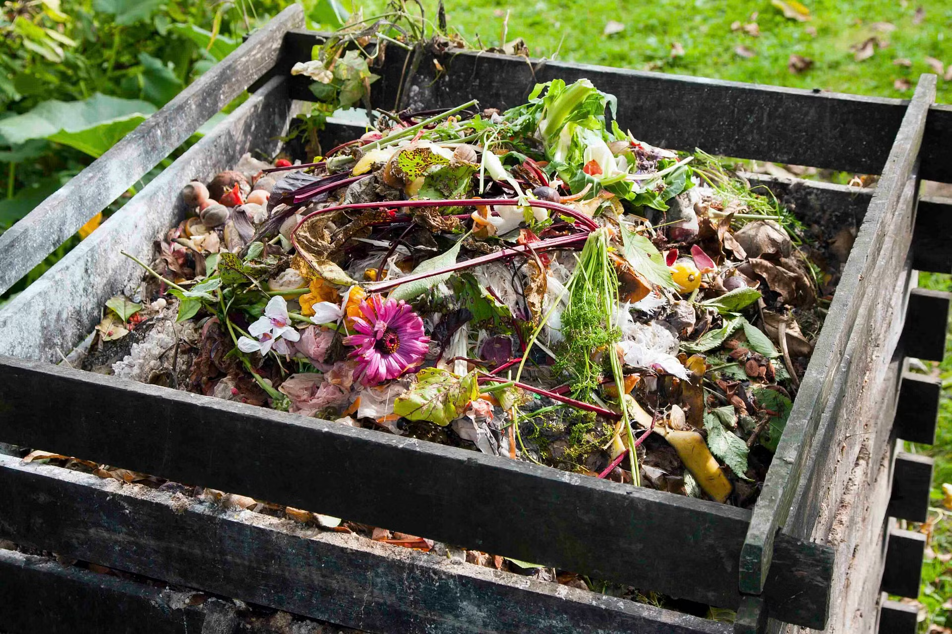 How to Set up a Compost Bin