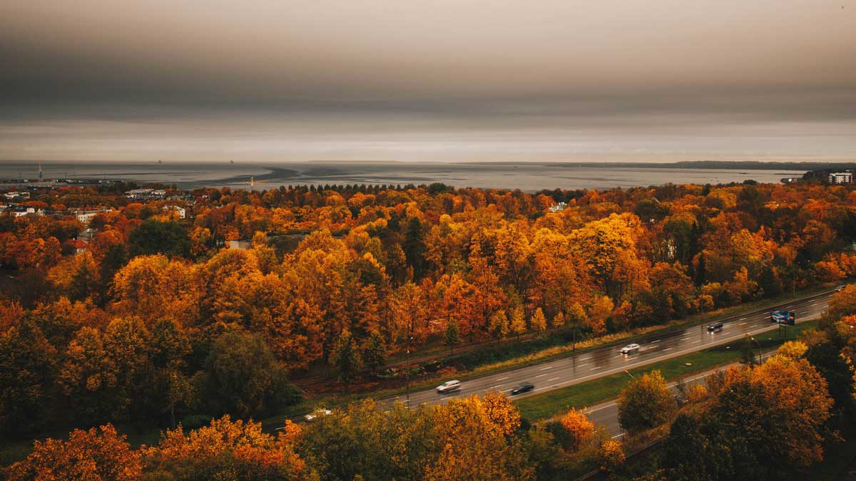 jims-mowing-fall-cleanup