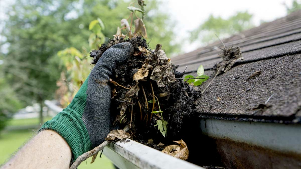 Jim's Mowing gutter cleaning services