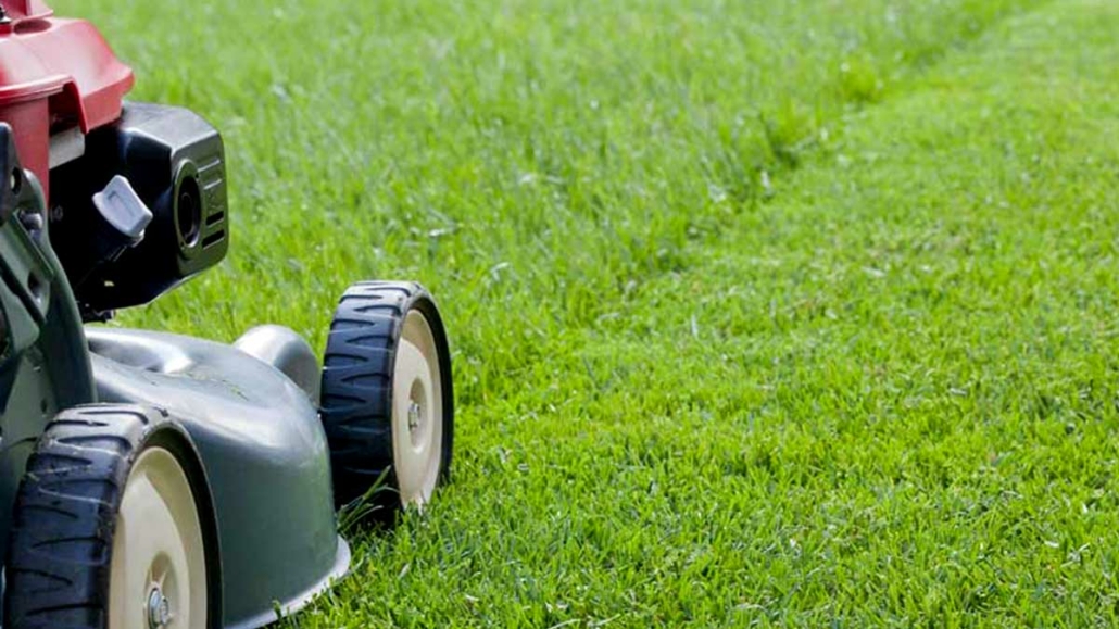 Lawn Care Services Request a Lawn Care Quote Jim s Mowing Gardening Canada