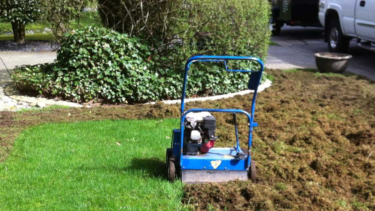 Power raking 2024 your lawn