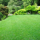 Advantages of Expert Lawn Maintenance