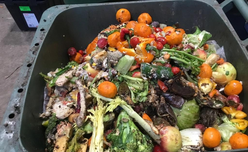 Utilize Composting and Recycling Practices