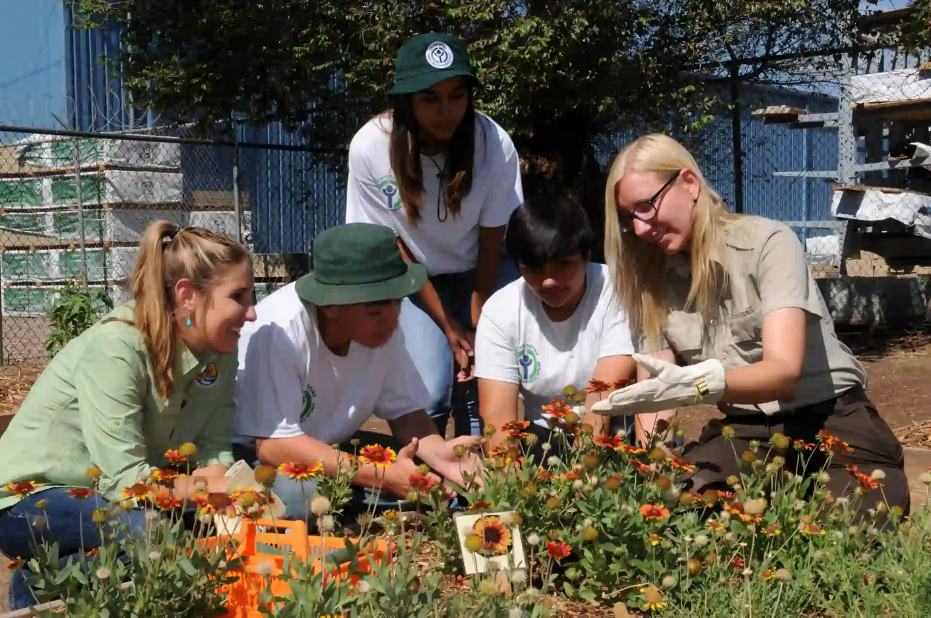 Fostering Social Connections and Community Involvement