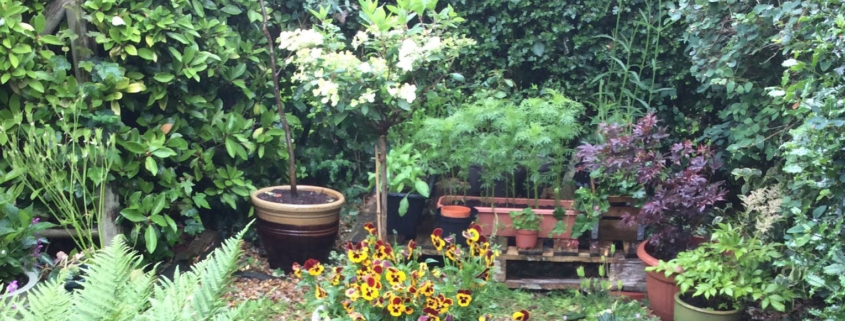 A Guide to Start Your Gardening in the Pacific Northwest