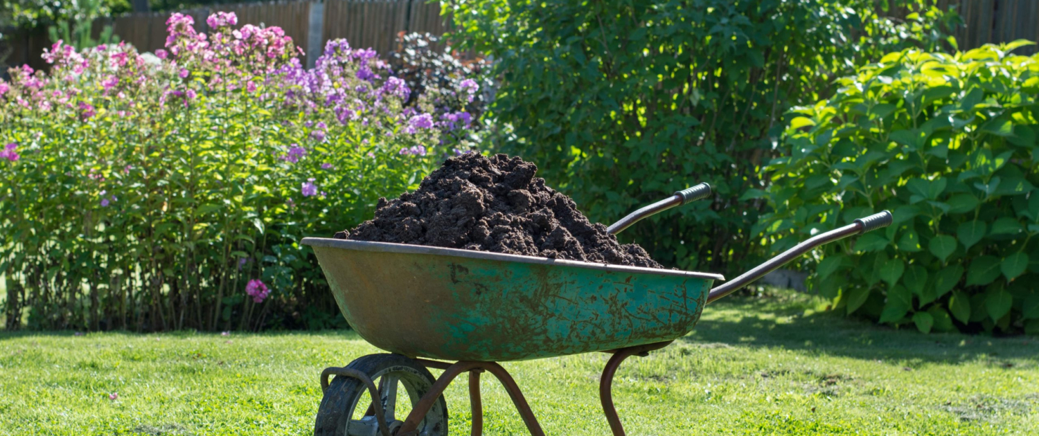 Okanagan Adapting to Heat and Drought