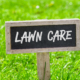 Tips for Lawn Care Throughout the Seasons