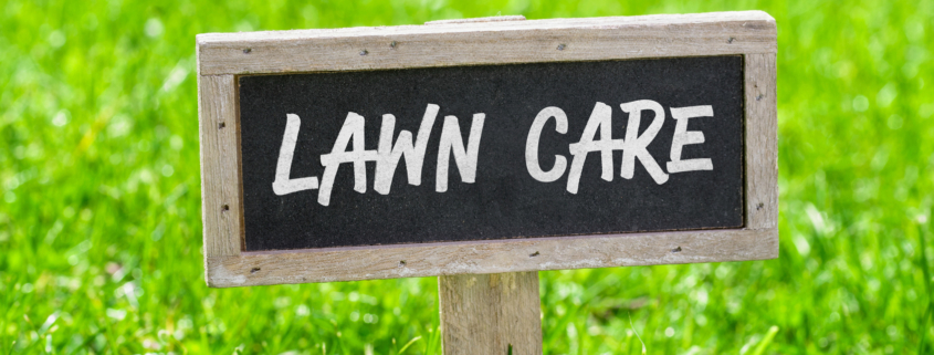 Tips for Lawn Care Throughout the Seasons