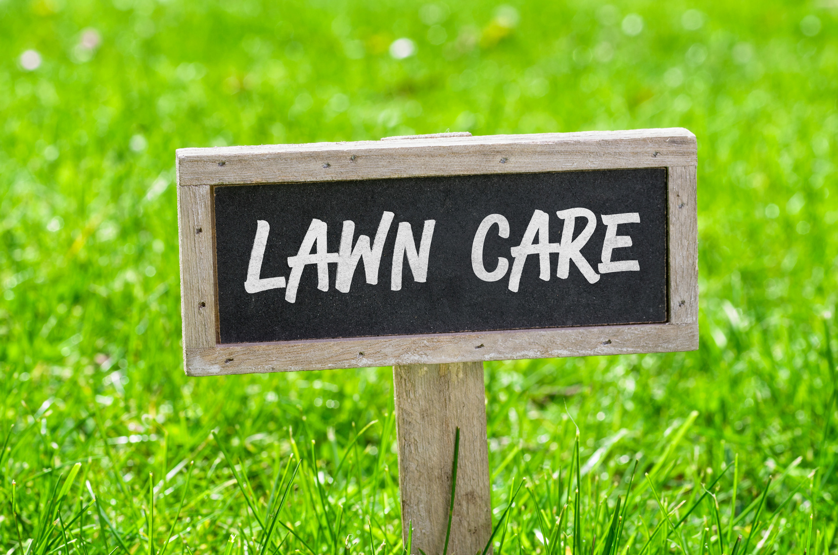 Tips for Lawn Care Throughout the Seasons