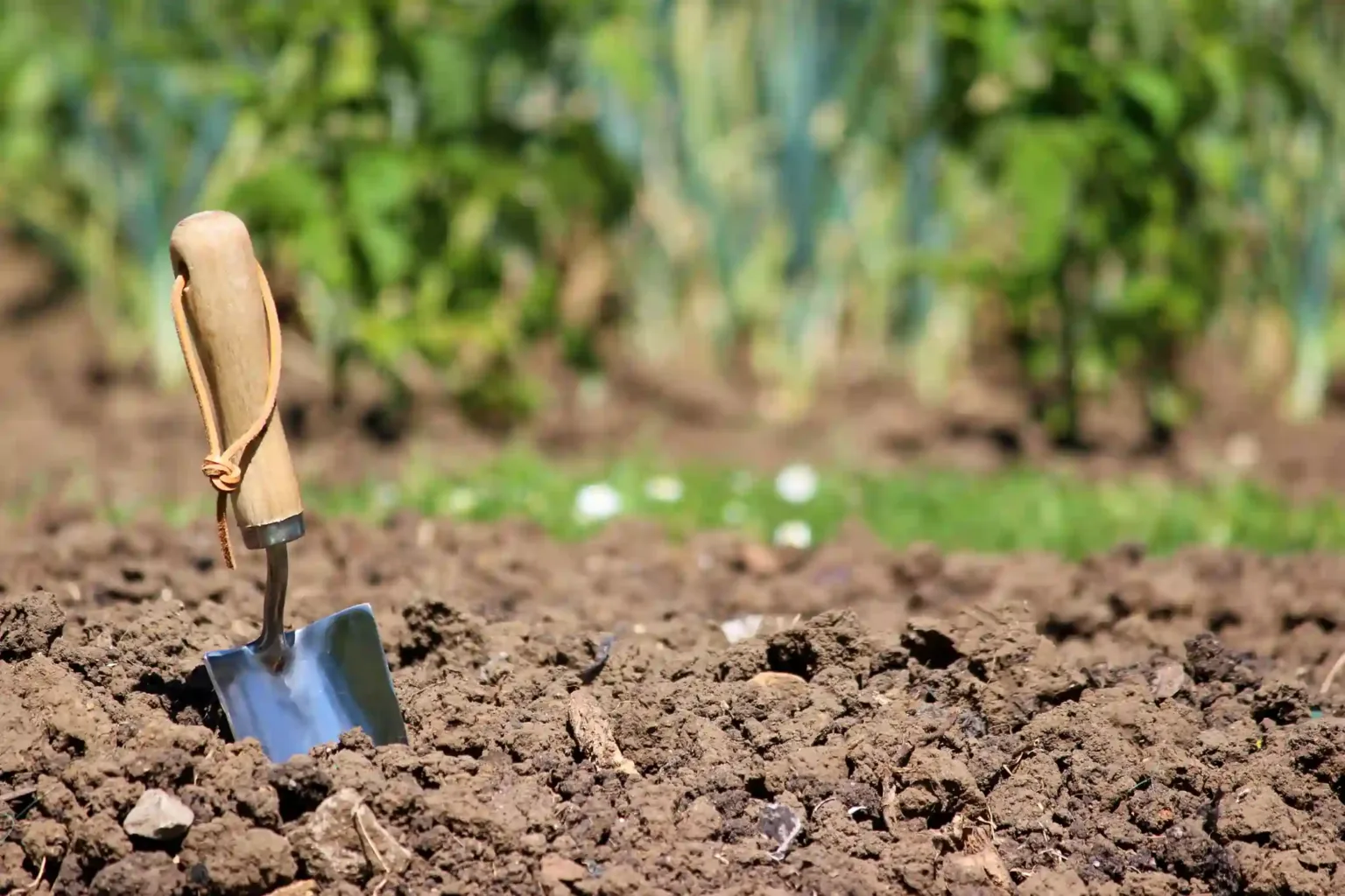 Preparing the Soil