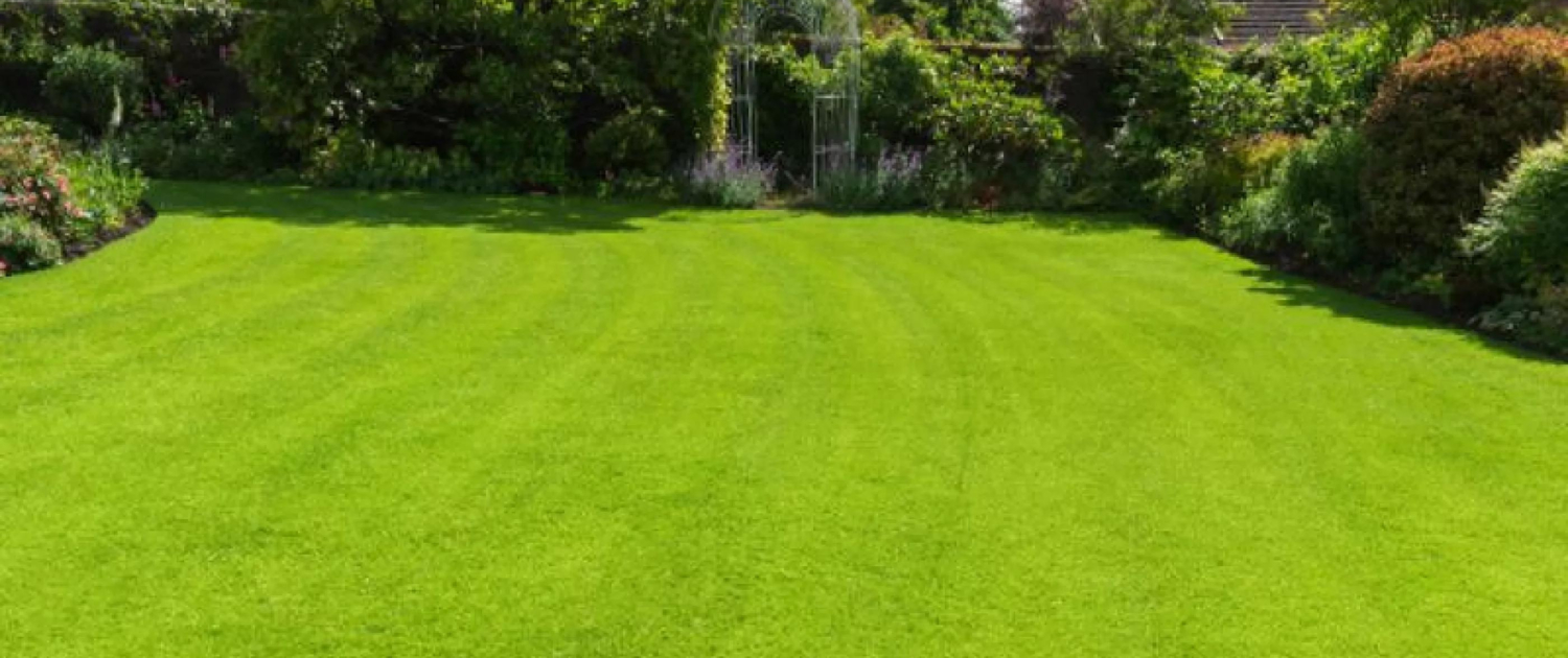 Advances in lawn maintenance