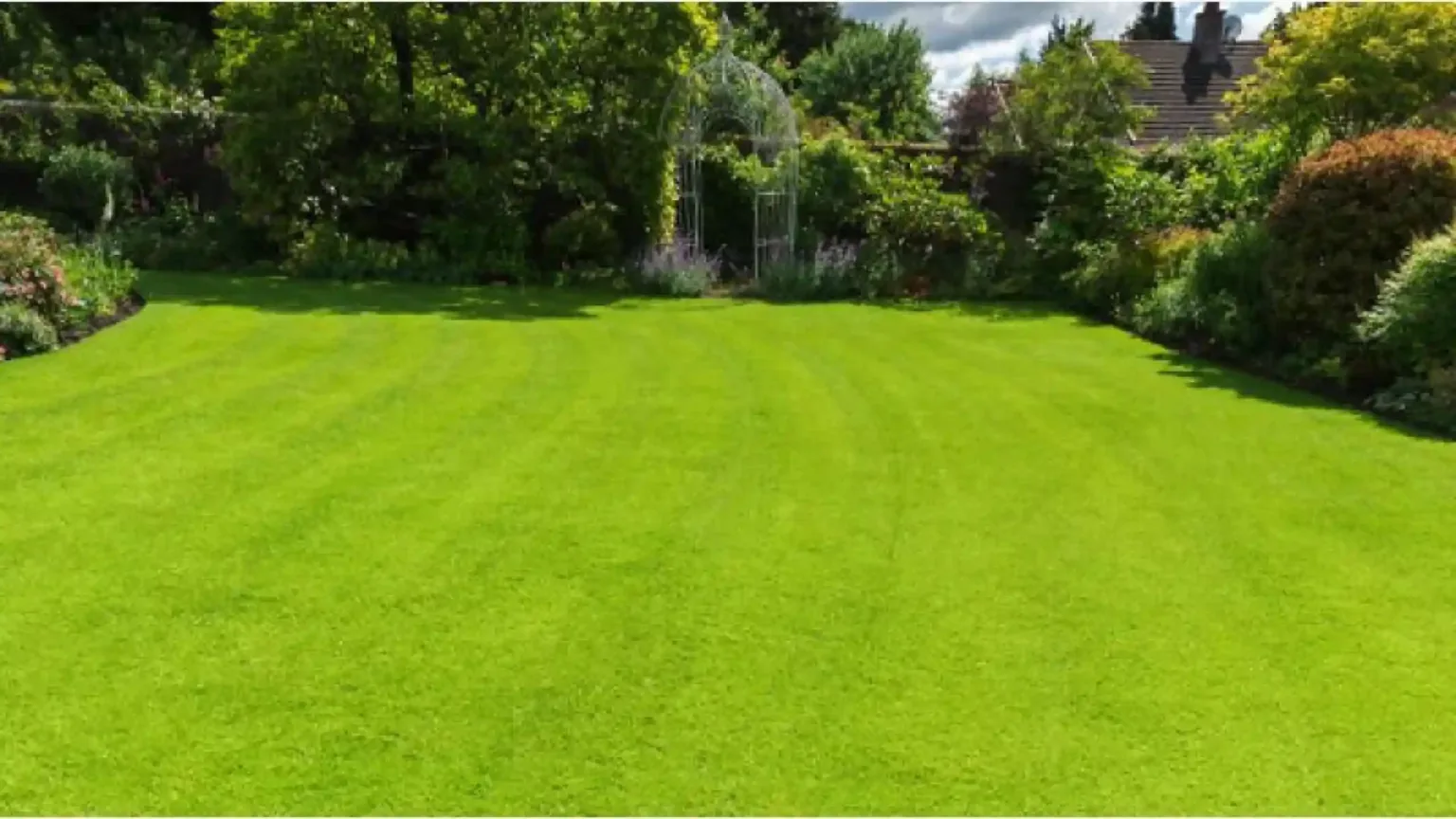 Advances in lawn maintenance