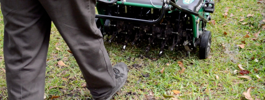The Importance of Aeration in Spring for a Healthy Lawn in British Columbia