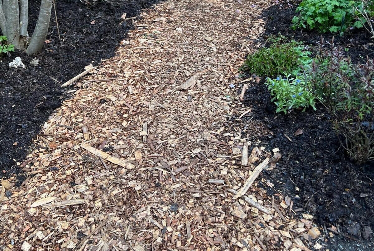 Bark Mulch