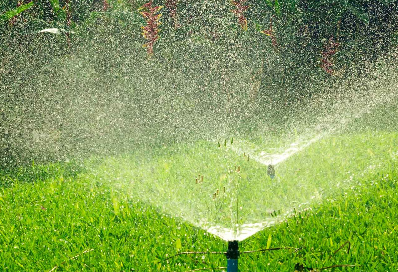 Appropriate Watering Practices