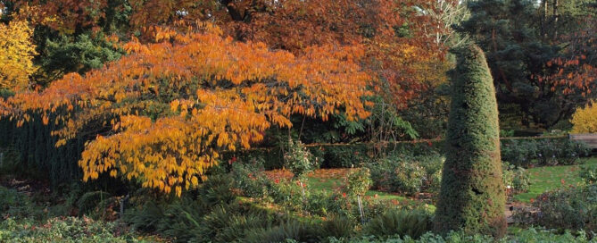 Fall Landscaping Projects Tailored to British Columbia