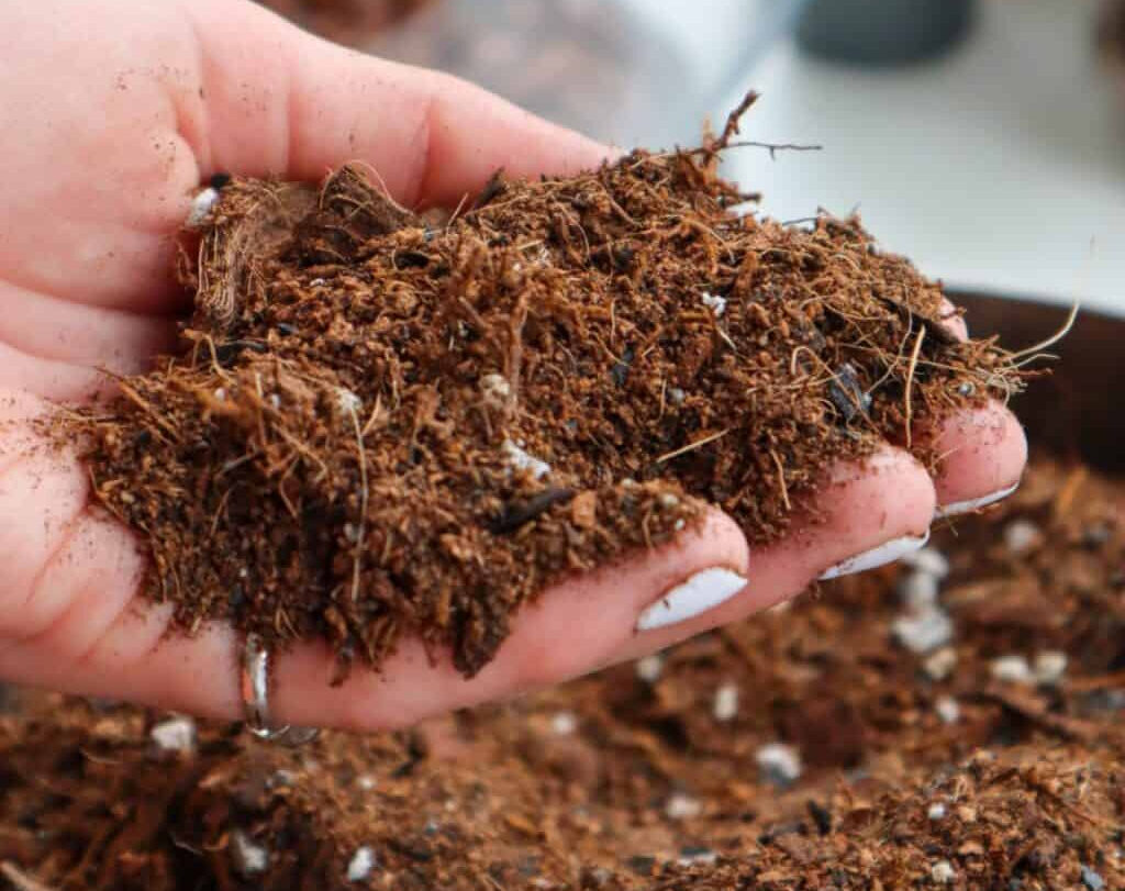 General Tips for Summer Fertilizing Across BC