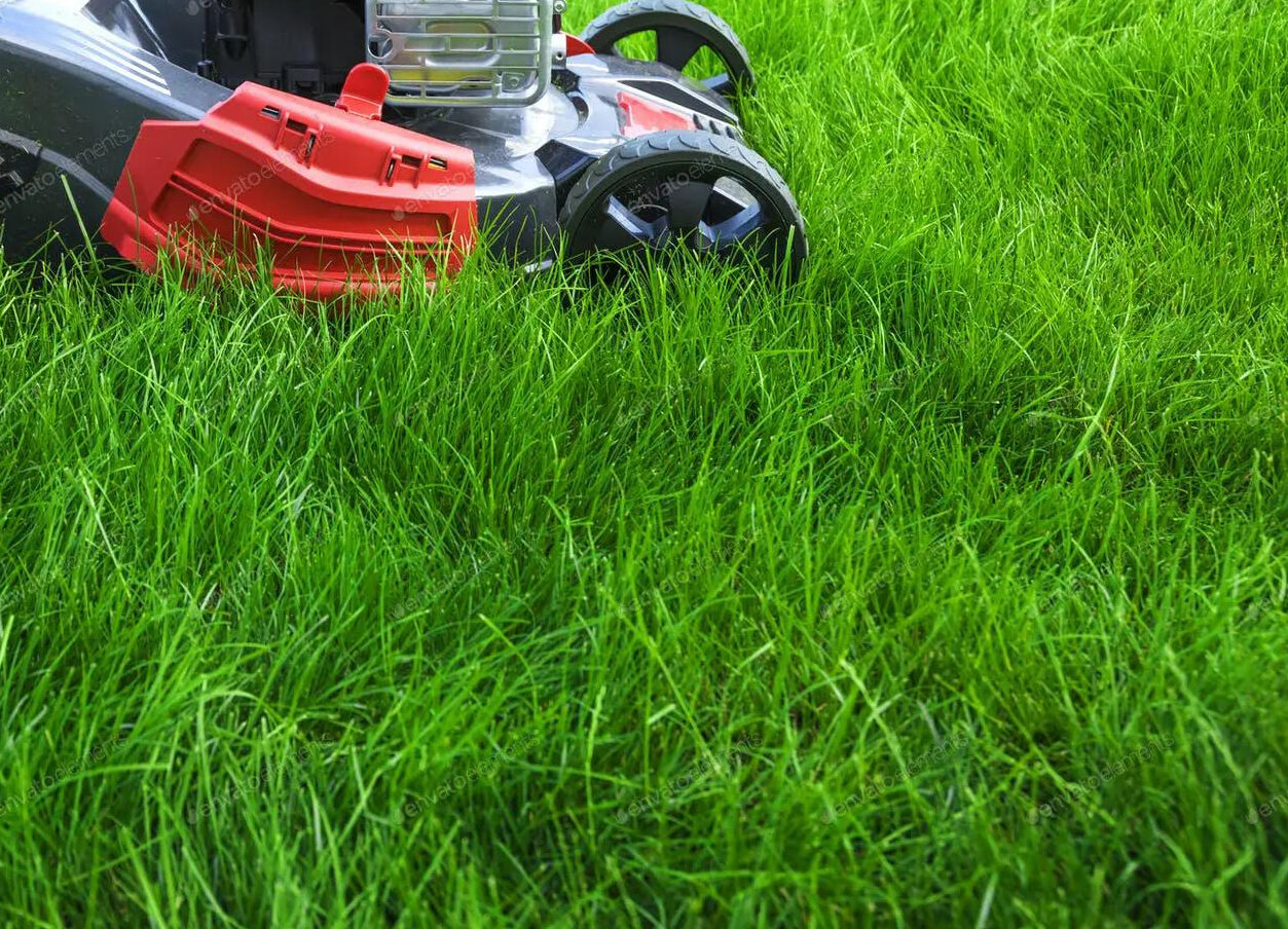 Mowing Strategies
