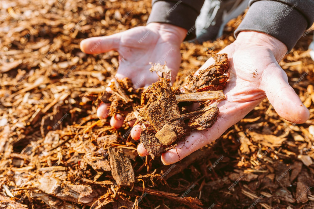 Myth 5: Garden Beds Don’t Need Attention Until Spring