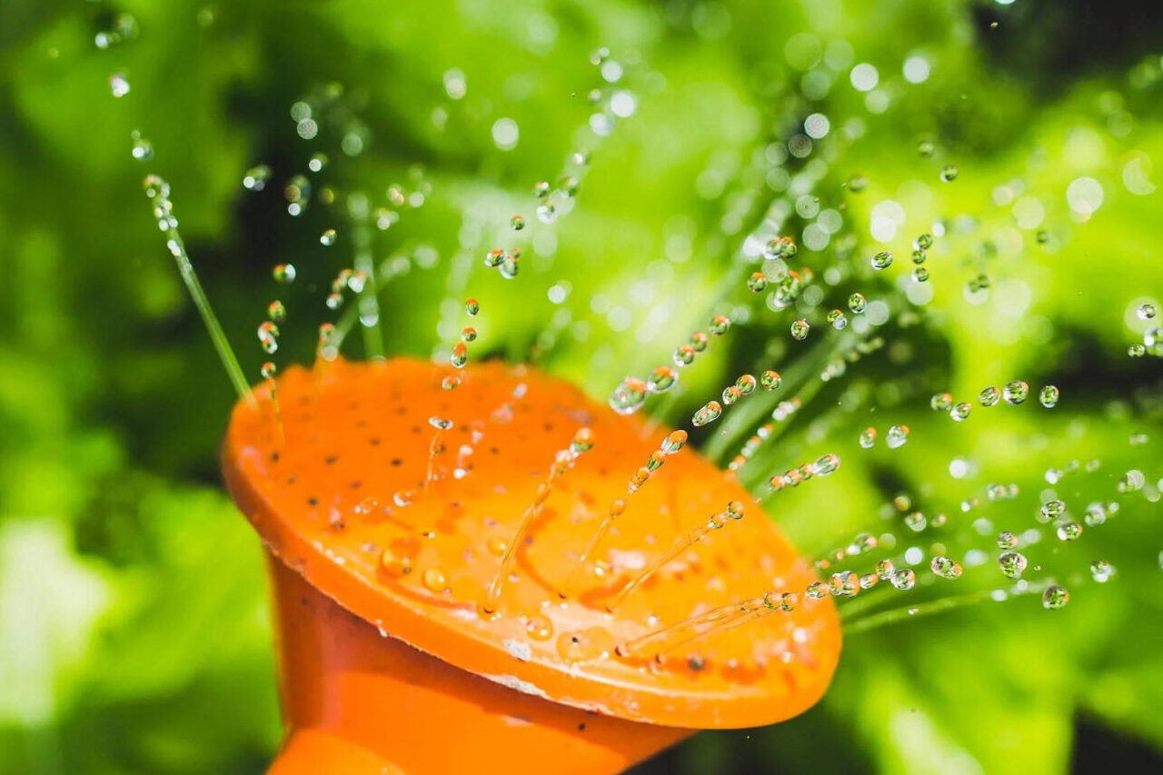 Okanagan Heat Stress and Water Efficiency