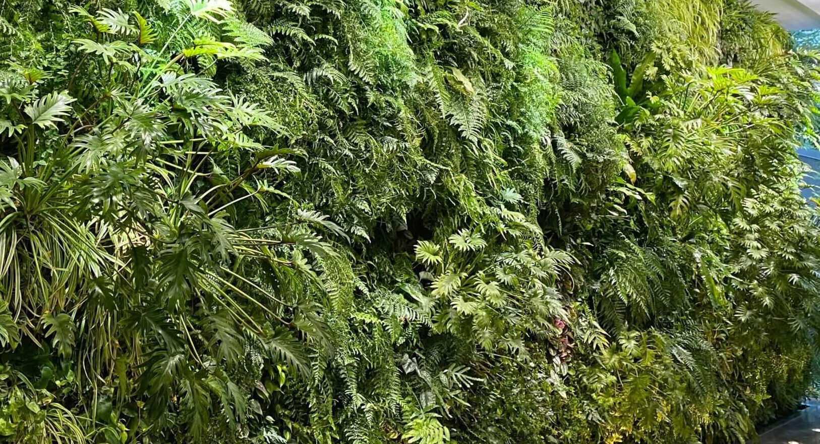 Maximizing Your Vertical Garden