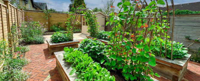Eco-Friendly Gardening: Sustainable Practices for a Greener Yard