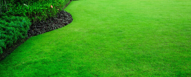 How to Enhance Your Lawn for Less Than $1000