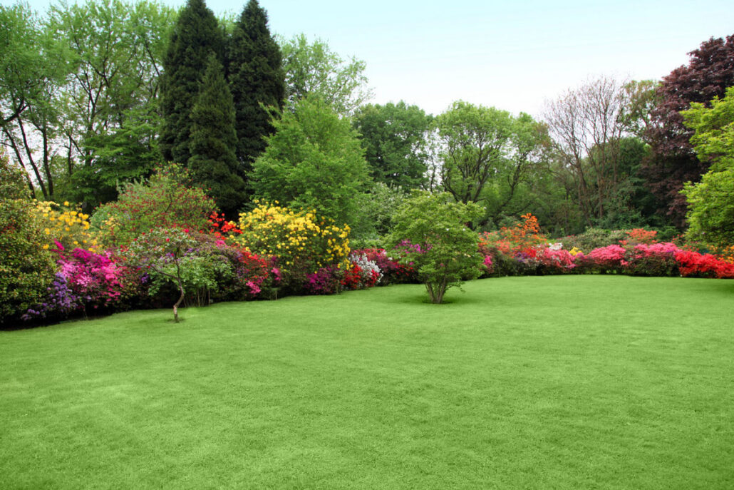 How to Enhance Your Lawn for Less Than $1000