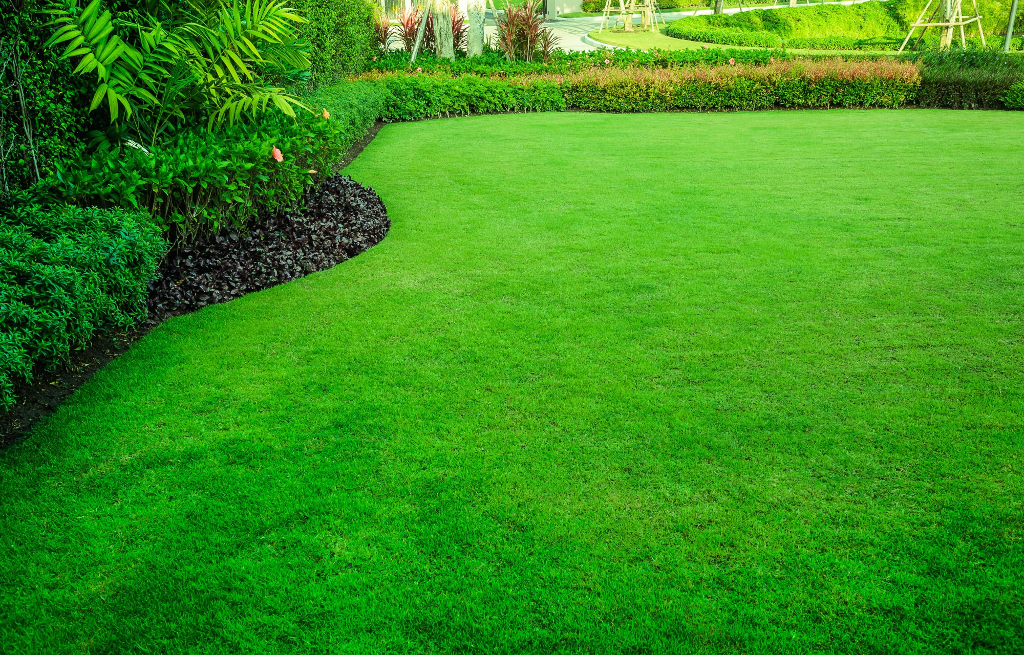 How to Enhance Your Lawn for Less Than $1000