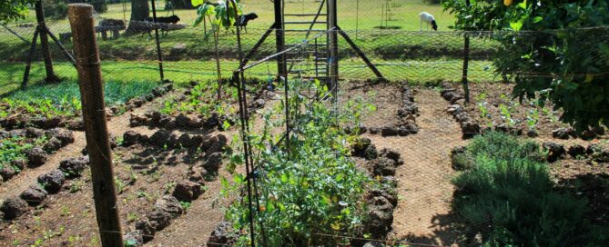 Preparing Your Garden Beds for Bark Mulch