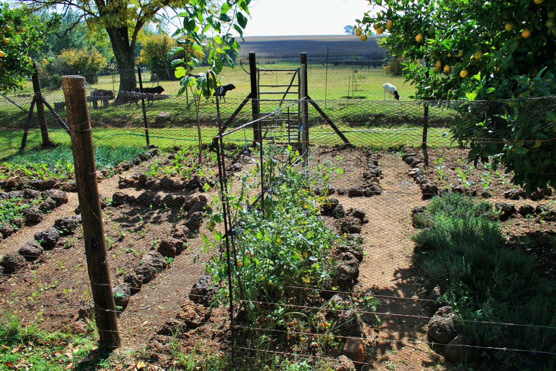 Preparing Your Garden Beds for Bark Mulch