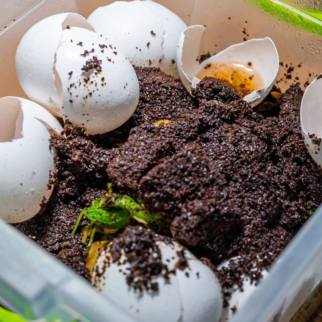 Mastering Composting: Transform Kitchen Scraps into Gardening Gold