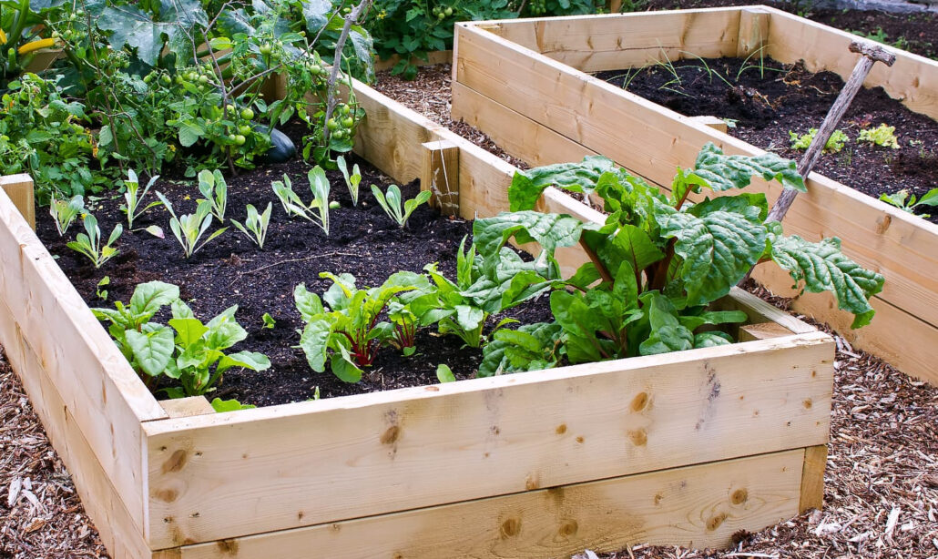 Why Choose Raised Bed Gardening?