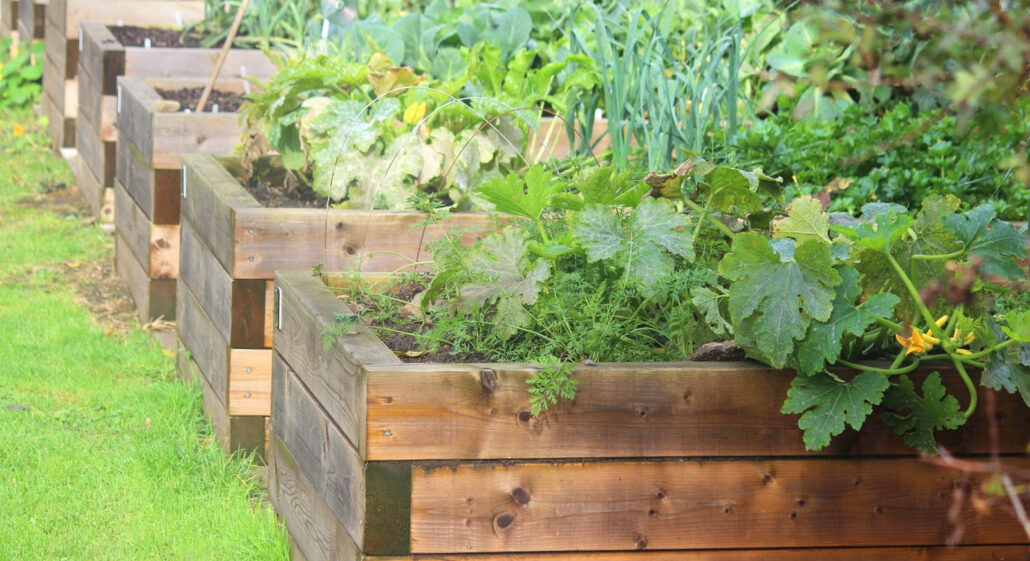 Unlock Your Garden’s Potential