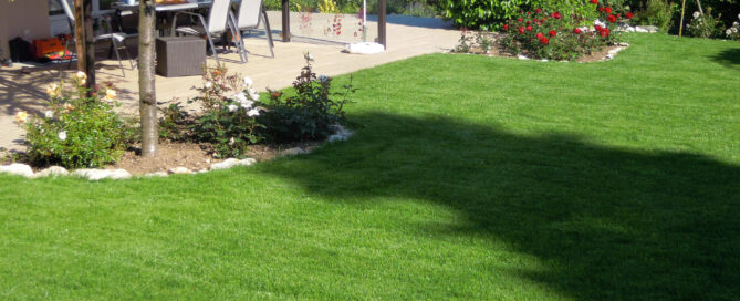 Revitalize Your Lawn: 10 Key Tips for a Lush, Green Landscape