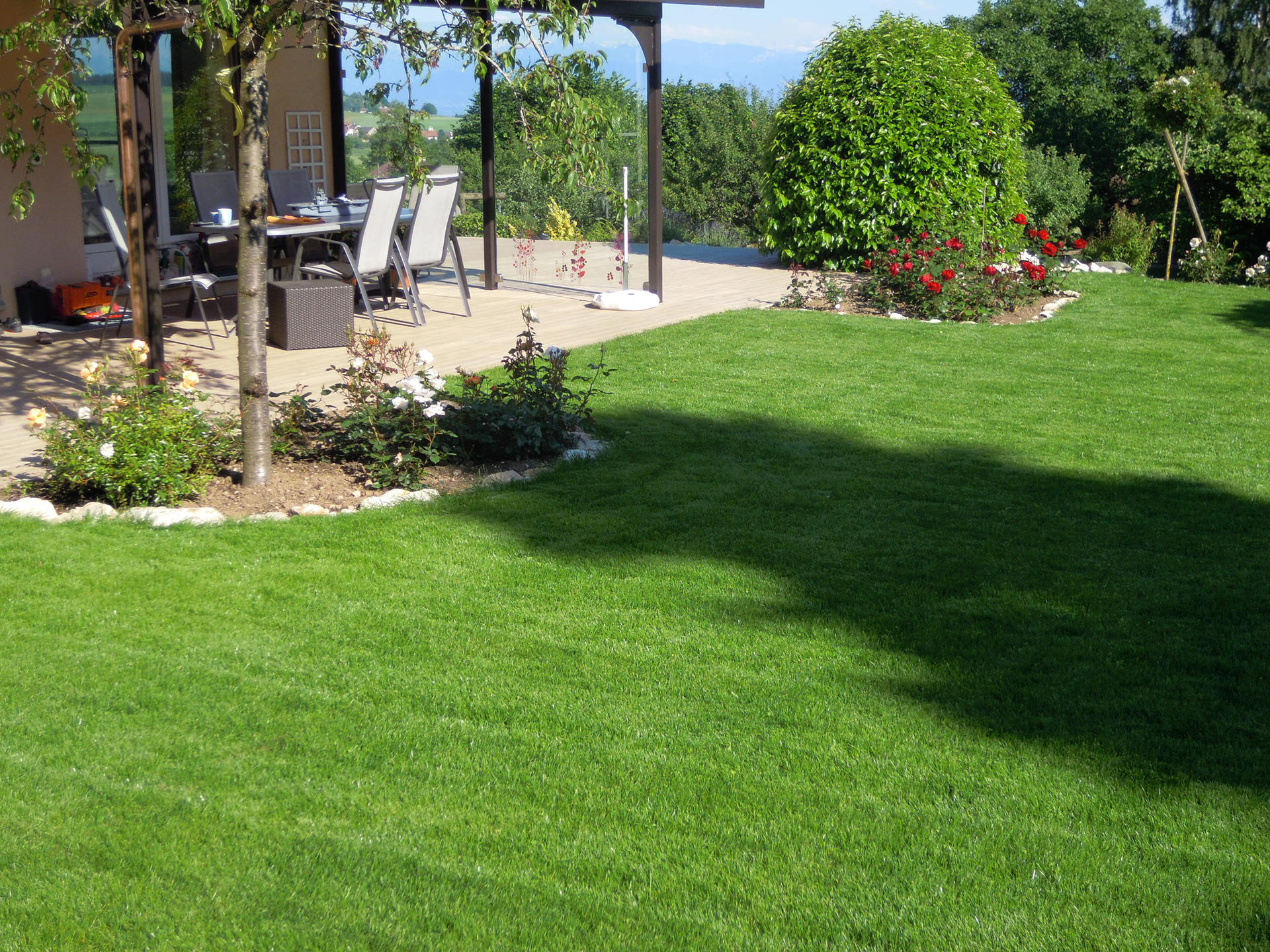 Revitalize Your Lawn: 10 Key Tips for a Lush, Green Landscape