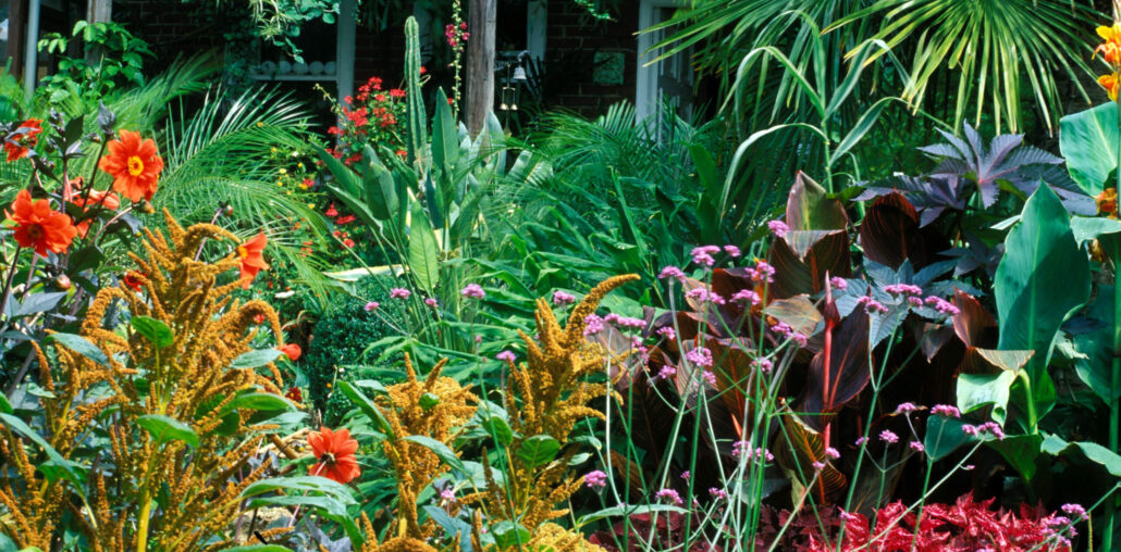 Top 10 Easy-Care Plants for Busy Gardeners