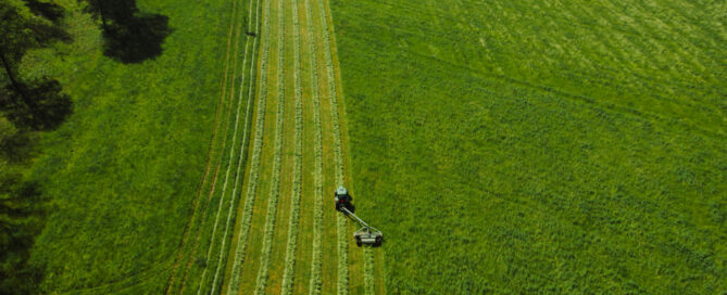 Understanding the Contrast Between Dethatching and Aeration