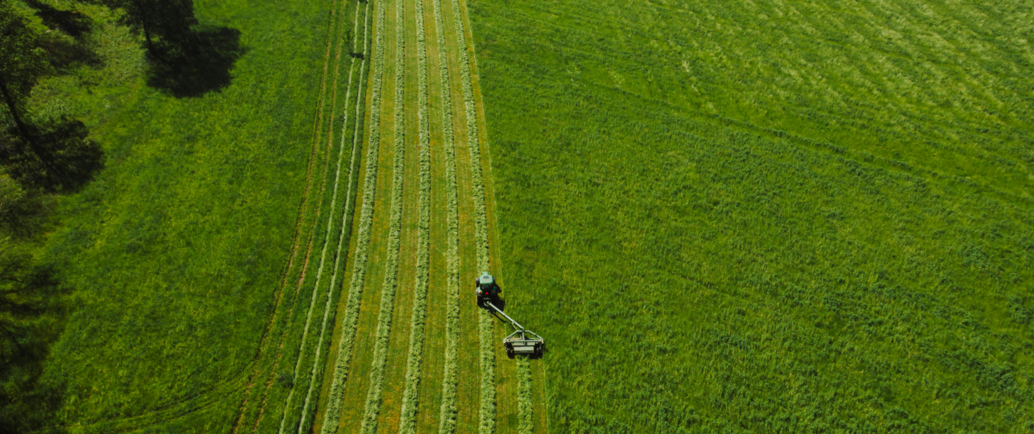 Understanding the Contrast Between Dethatching and Aeration