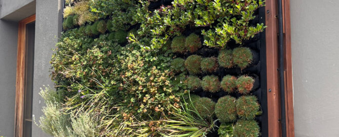 Vertical Gardening: Making the Most of Small Outdoor Spaces