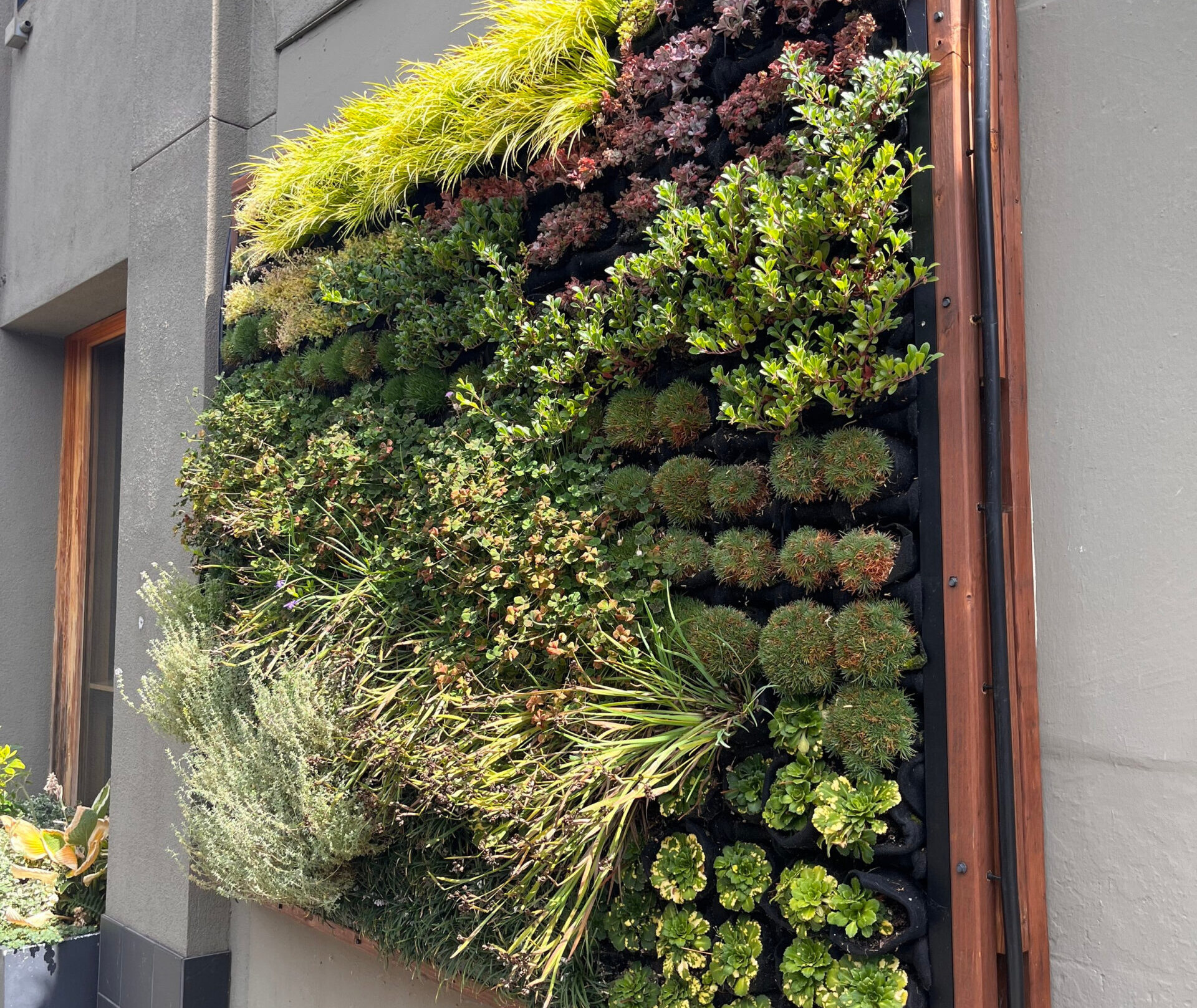 Vertical Gardening: Making the Most of Small Outdoor Spaces Vertical Gardening: Making the Most of Small Outdoor Spaces