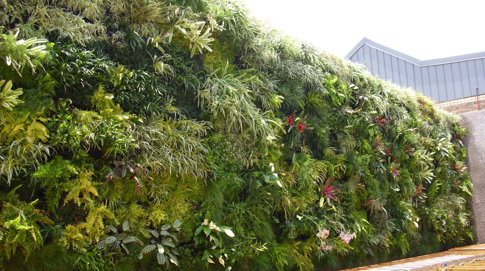 The Benefits of Vertical Gardening