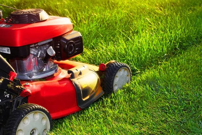 Lawn Mowing 1 Lawn Mowing 1