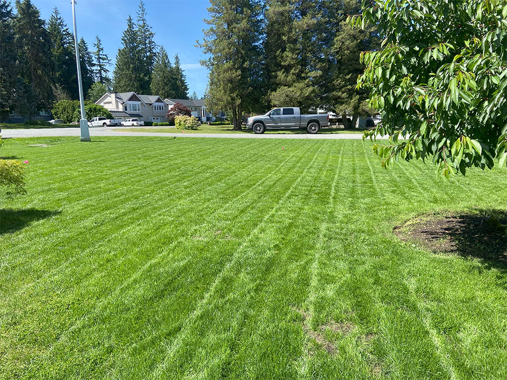 Lawn Mowing 4 Lawn Mowing 4